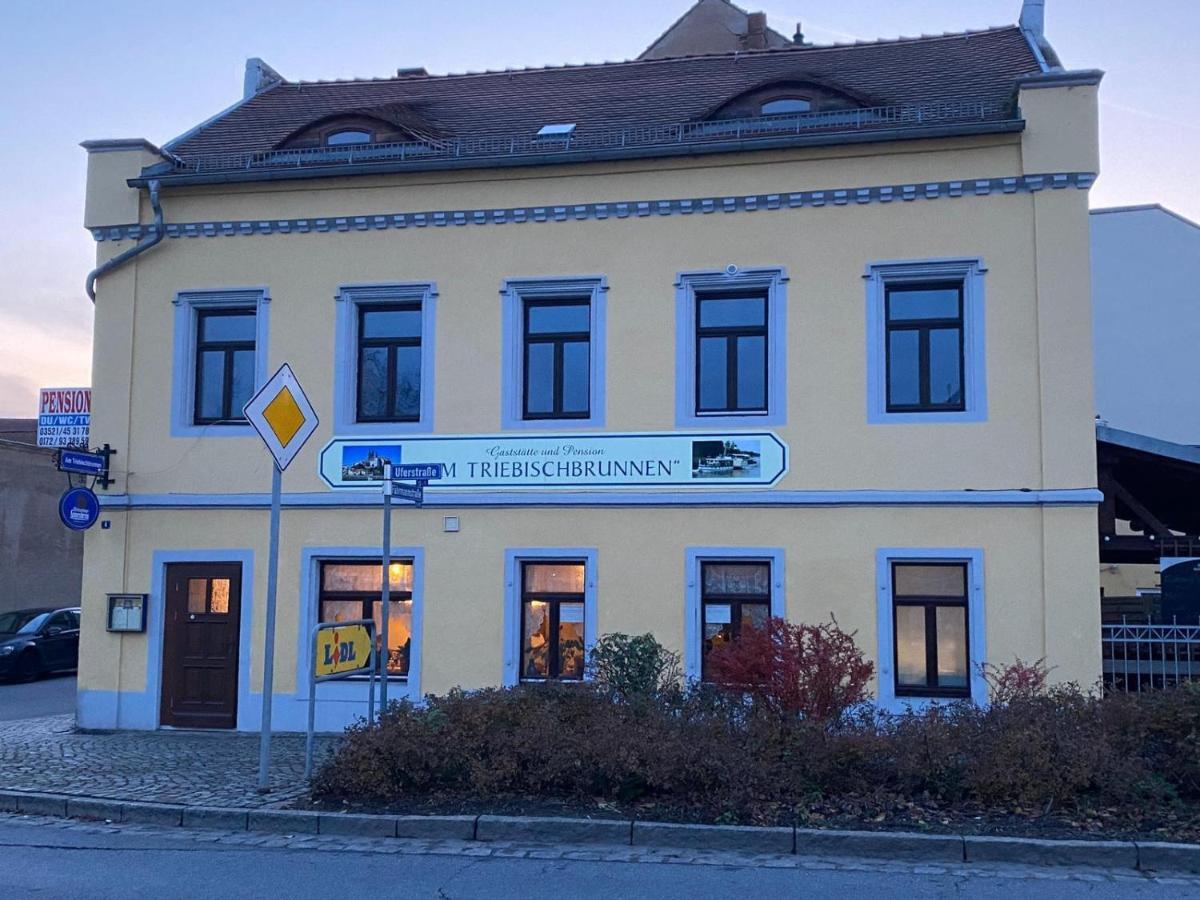 Fewo Am Triebischbrunnen Meissen Exterior foto
